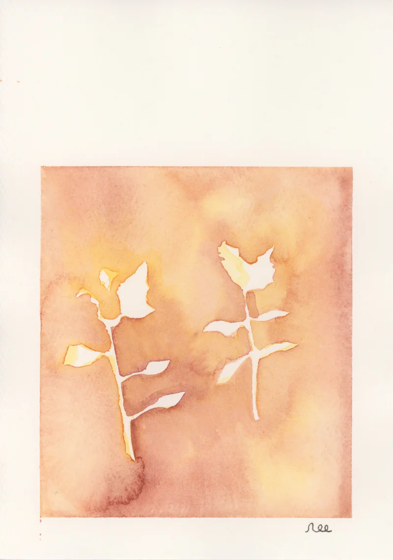 Watercolor of two sprigs left as white paper inside a square of apricot and orange wash, with a cream paper margin and the signature nec below.
