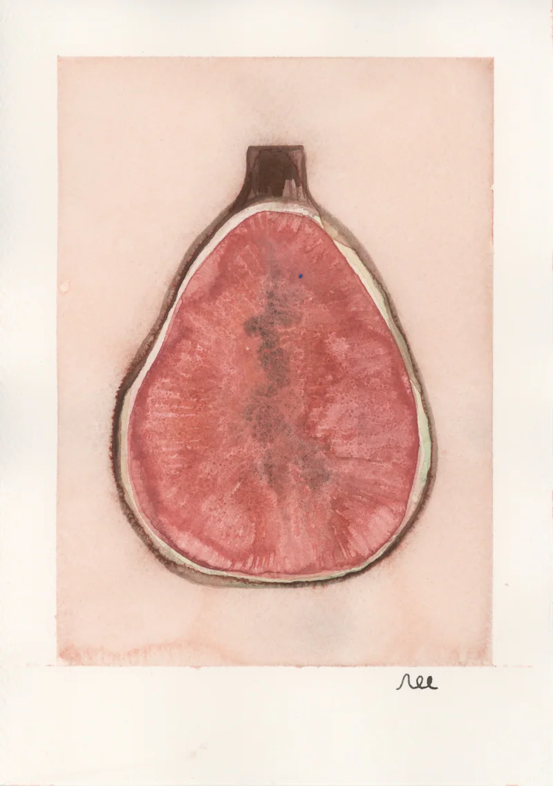 Watercolor of a halved fig in red and rose with a brown rim, inside a pale pink painted rectangle, signed nec in the margin below.