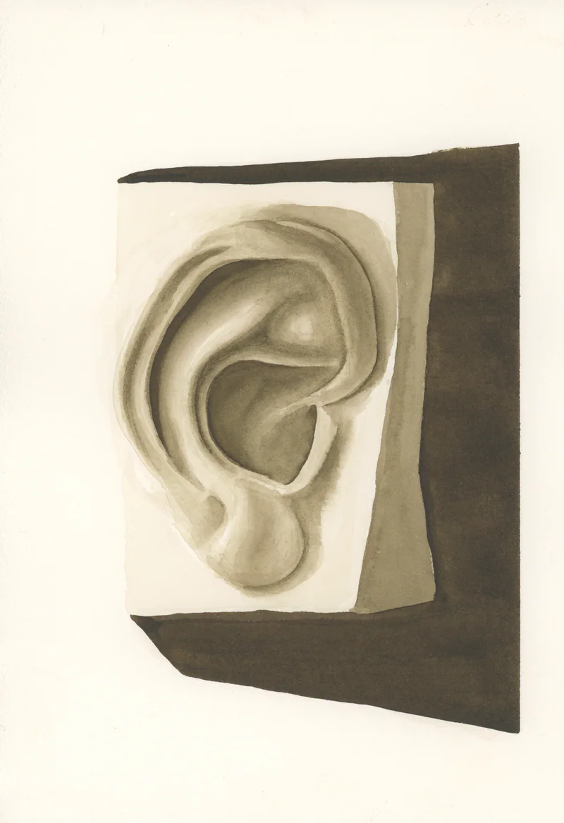 Sepia monochrome watercolor of a plaster cast of a human ear on a block, with a dark brown shadow behind and below.