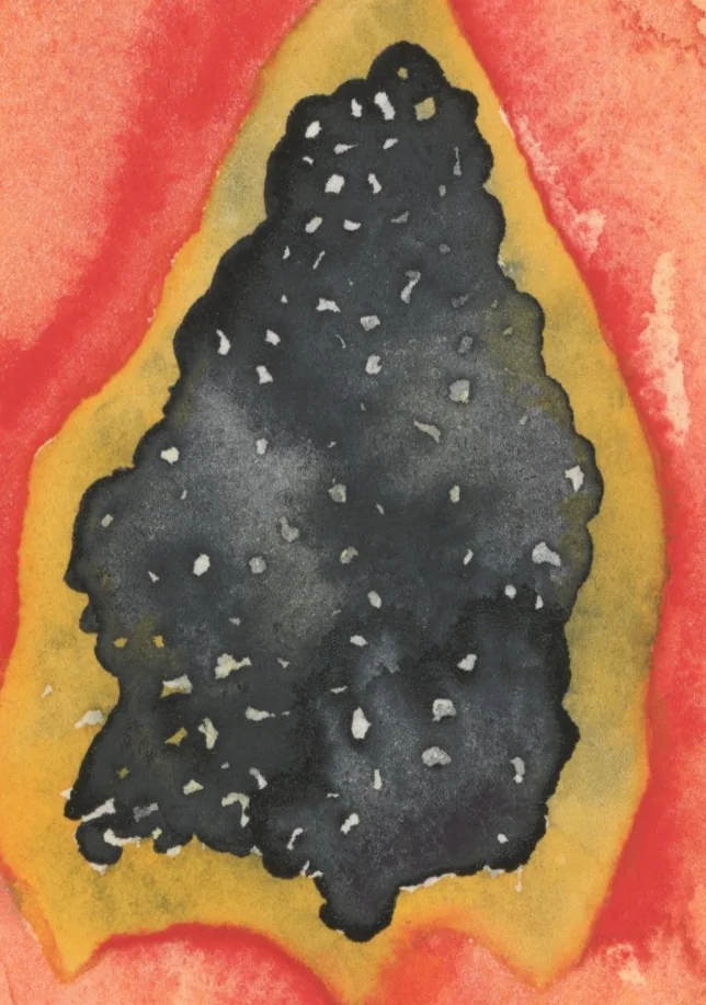 Close view of black seeds with tiny pale highlights, ringed by ochre.