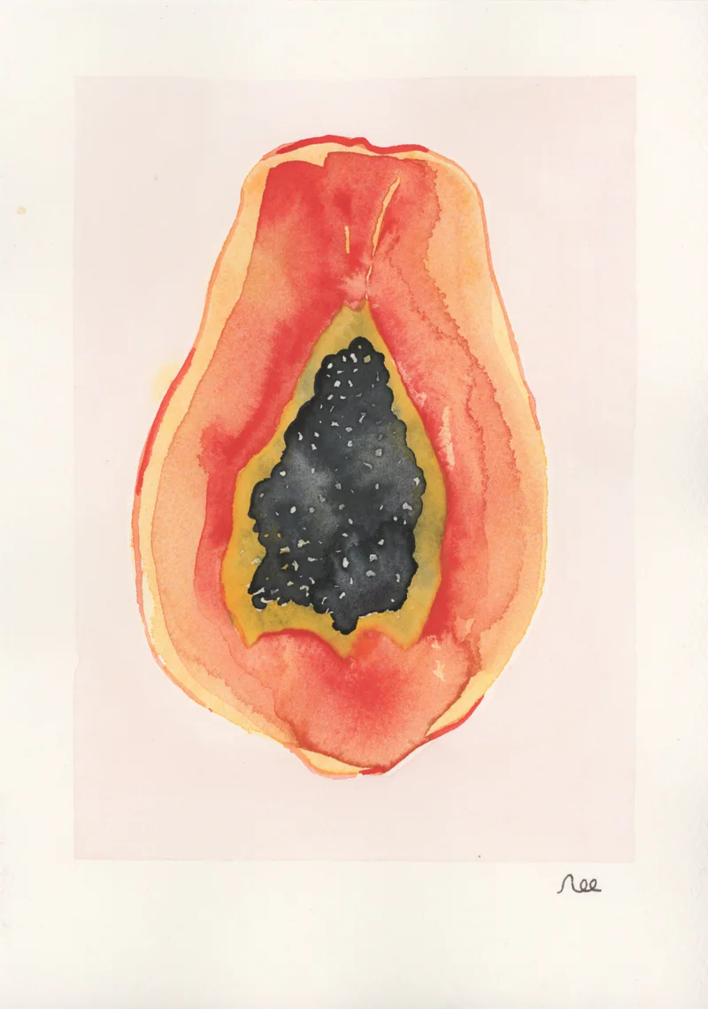 Watercolor of a halved papaya in coral and orange with a black seed cavity, inside a pale painted rectangle, signed nec in the margin below.