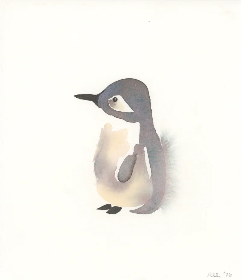 Watercolor of a gray violet penguin with a pale belly and black beak and feet on cream paper, signed nec 26 at lower right.
